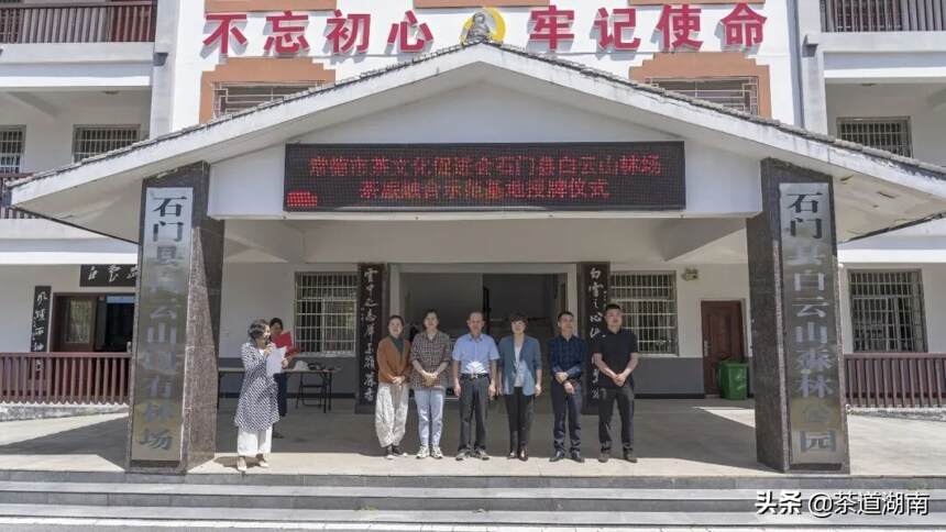 首家丨常德市茶文化促进会茶旅融合示范基地落户白云山国有林场