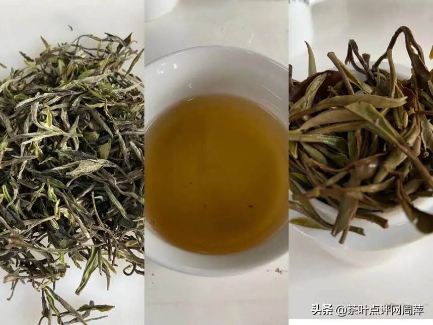 茶评：工艺好的白茶才适合存储