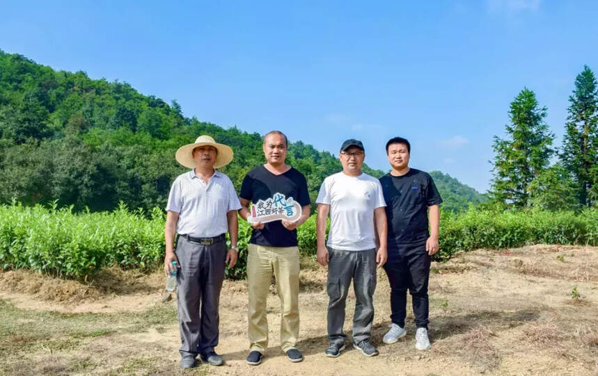 赣茶·寻茶记 | 揽上饶美景 品茗龙茶香