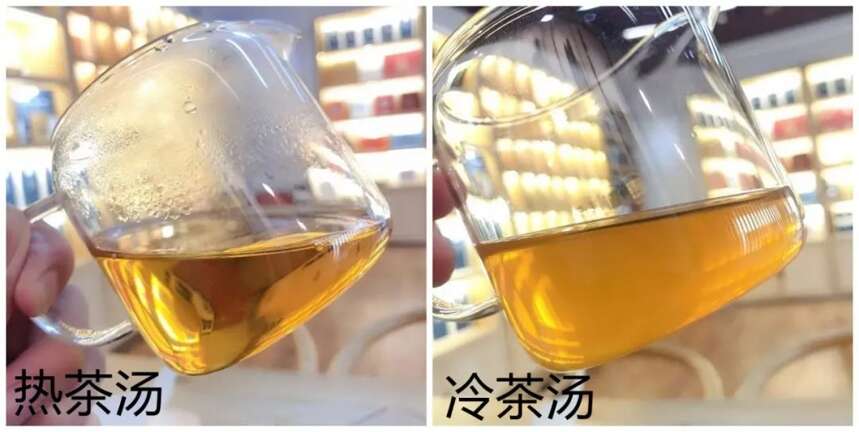 以润茶识 | 茶汤冷后变“浑”，是怎么回事？