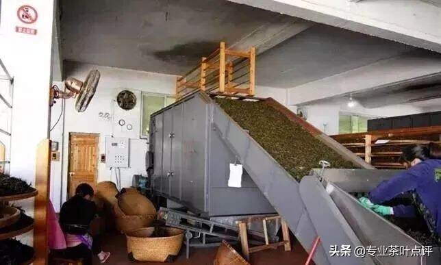 深度解析武夷岩茶之工艺篇