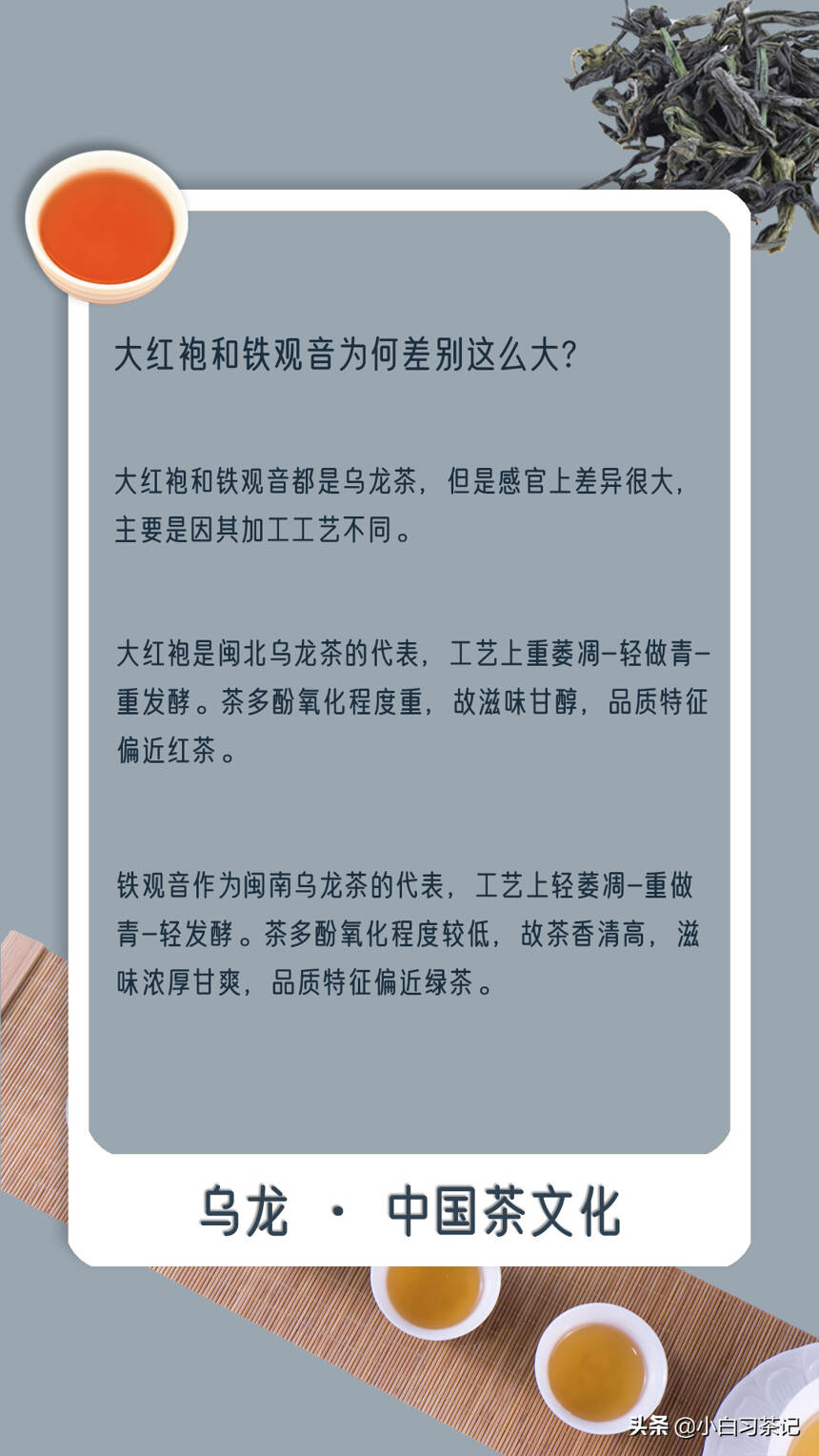 一组图，带你全方位了解乌龙茶