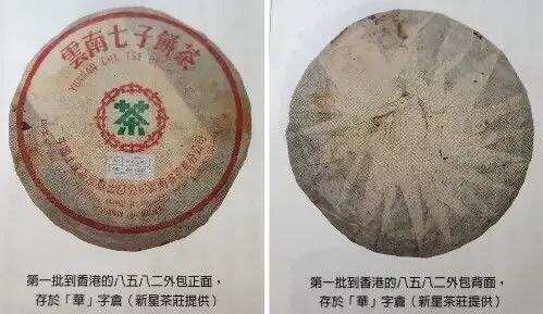 普洱茶7576，8586，7436，等各代表什么？