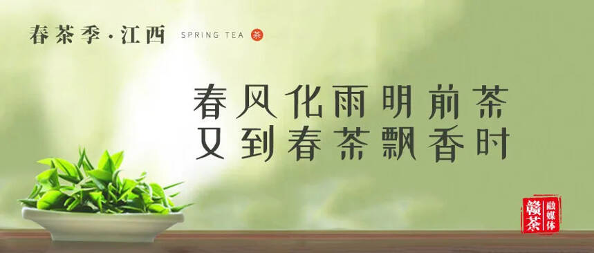 春茶季 | 春风化雨明前茶 又到春茶飘香时（五）