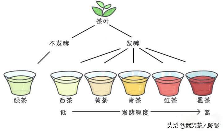 过年选茶，该如何挑选？