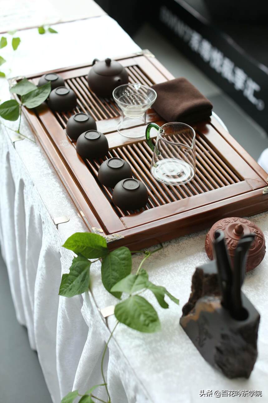 用什么茶器泡普洱茶好？你的茶器选对了吗？