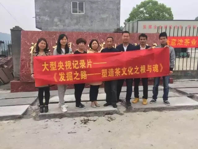 鼎鼎大名之红白茶事