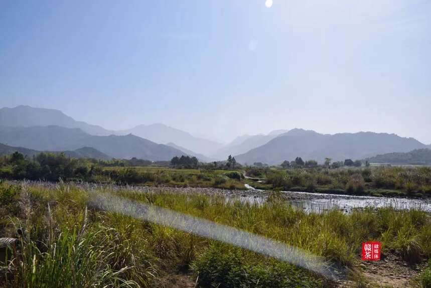 寻茶 · 花絮｜石塘古镇品香茗 寻觅悠悠岁月情