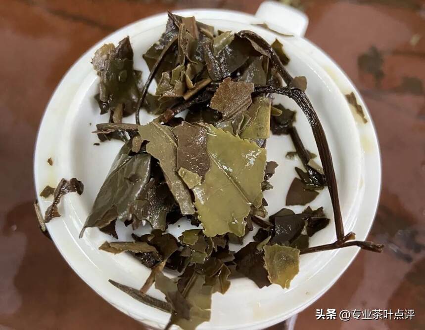 白茶点评｜快看看我们带回了什么样品吧