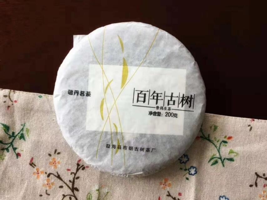 普洱茶四季都能喝吗？