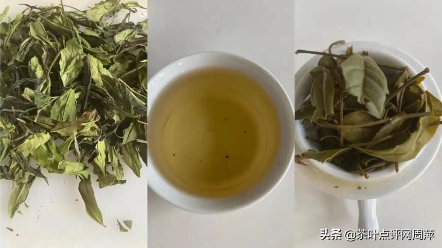 茶评：工艺好的白茶才适合存储