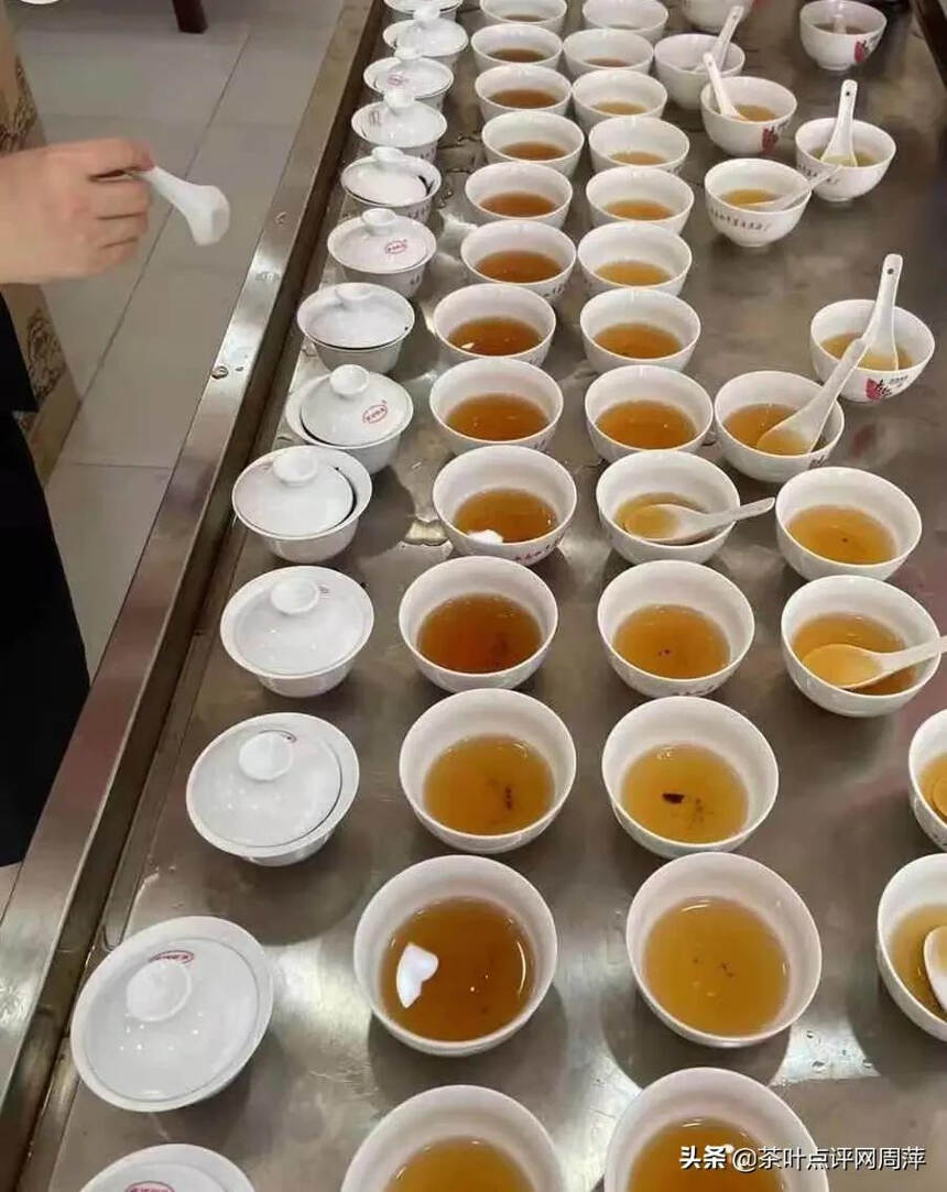 岩茶审评：怎样学好岩茶？