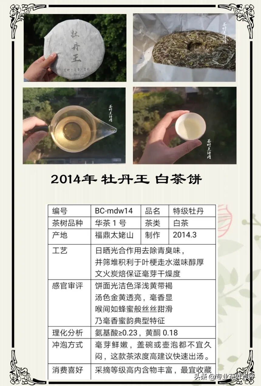 辨识老白茶——线上评茶篇