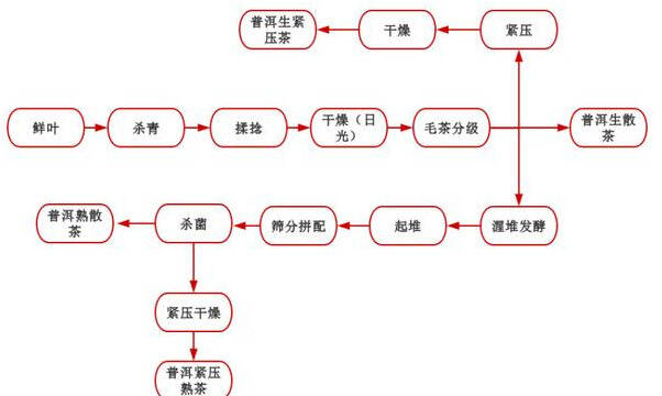 1张图告诉你普洱茶的8~11道制作工艺流程，清清楚楚明明白白