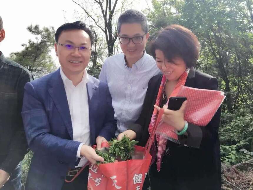 桂丁茶叶成致富“金叶”，她把数百年前失传贡茶盘活了