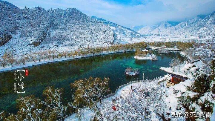 节气｜小雪至，一年煮茶时