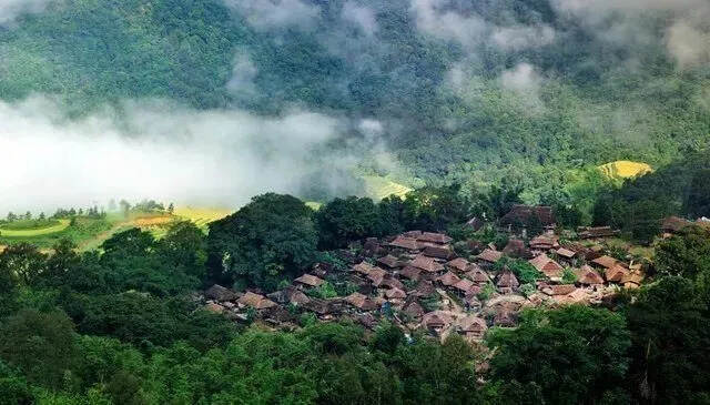 普洱茶那么多山头，哪座山头的春茶口感更好？今天我们先说说临沧