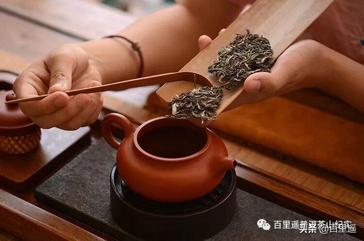 可以通过冷后浑的程度判断出一款普洱茶的好坏吗？