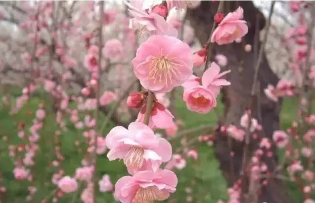 爱上武夷山，在你我相遇的一瞬间