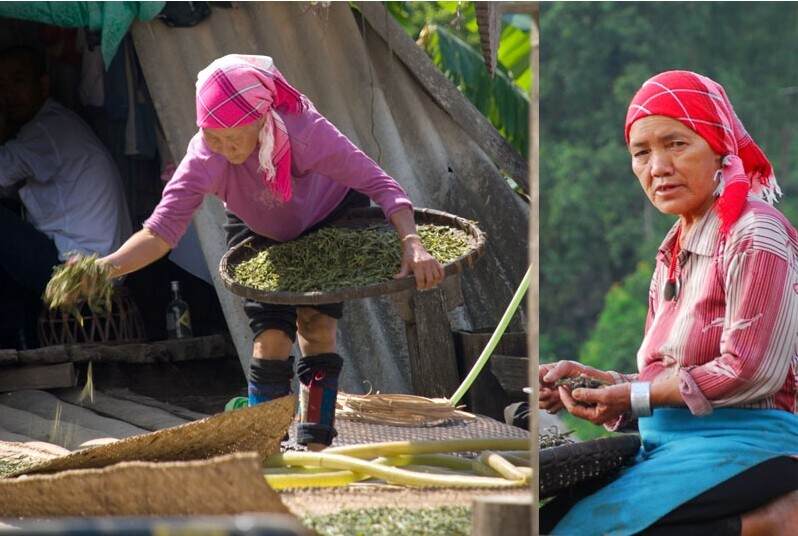 普洱茶入门知识，简单明了，看完果断收藏