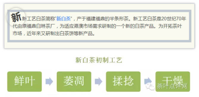 茶理王|新工艺白茶制作过程