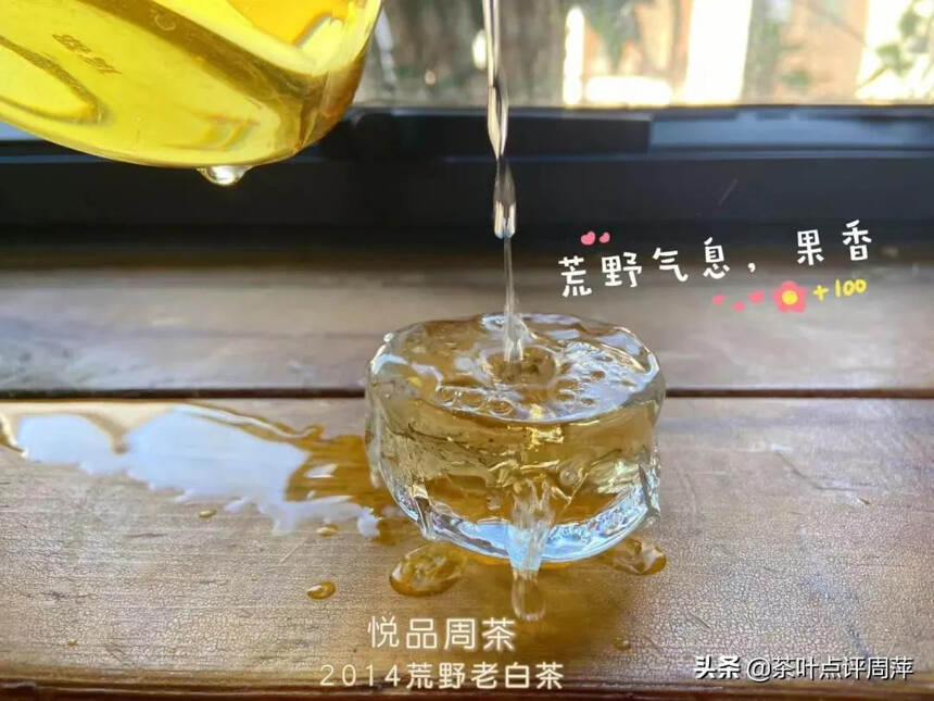 冬天太适合白茶啦！橄榄炭，红泥炉煮得白茶咕噜噜