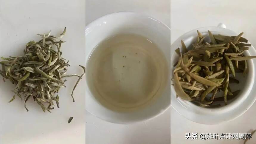 茶评：工艺好的白茶才适合存储