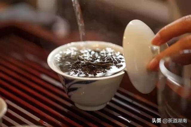 生活｜一入茶门深似海