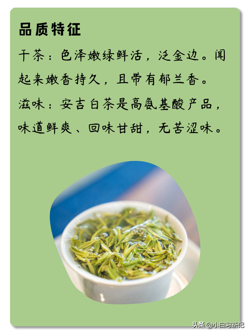 每天了解一款茶，第七期，安吉白茶