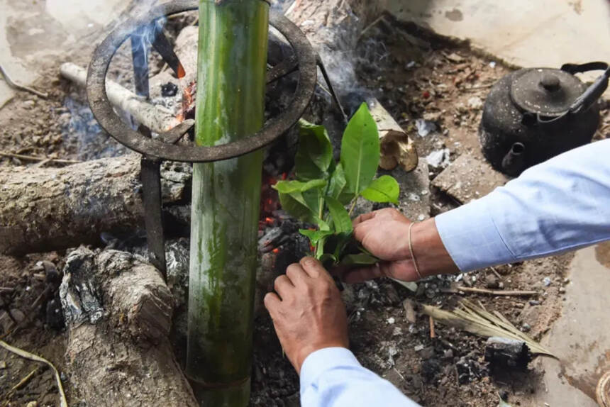 多张美图来袭！云南茶，用多样性讲述着不一样的中国故事