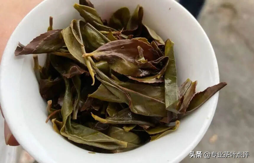 叶底看茶的门道：为啥有人爱看叶底？