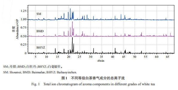 不同等级福鼎白茶香气成分研究
