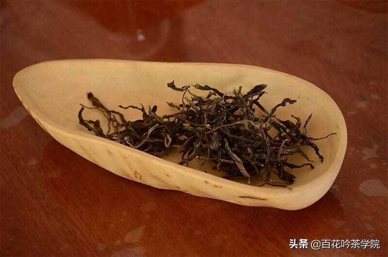 你买的古树春茶可能是台地茶，教你区别古树茶和台地茶