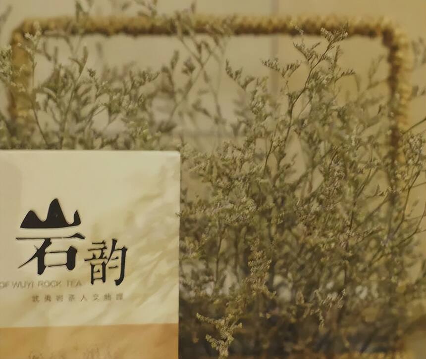 青茶 | 闽北乌龙 --- 武夷岩茶之岩韵的意义由来 气味清和兼骨鲠