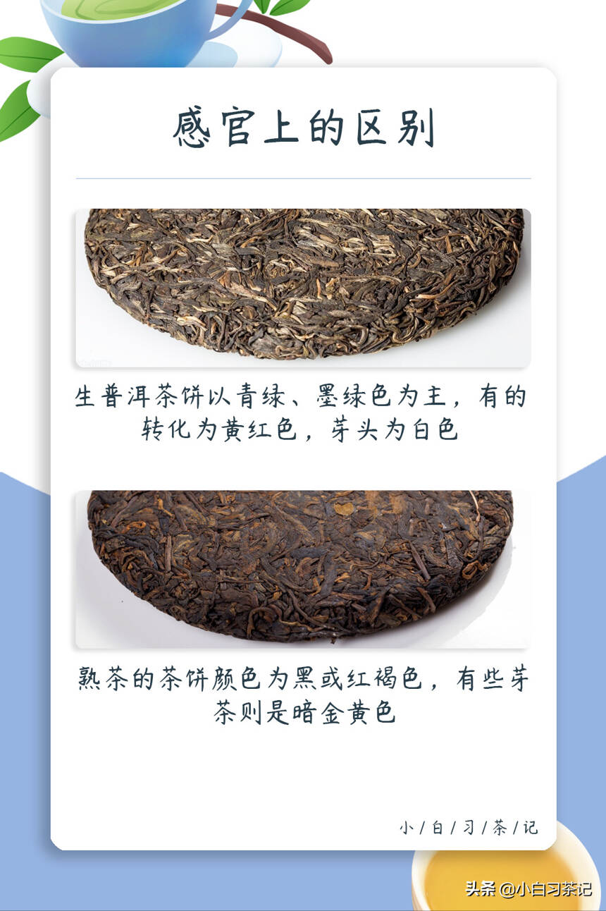 初识普洱，普洱生茶和熟茶哪里不同？