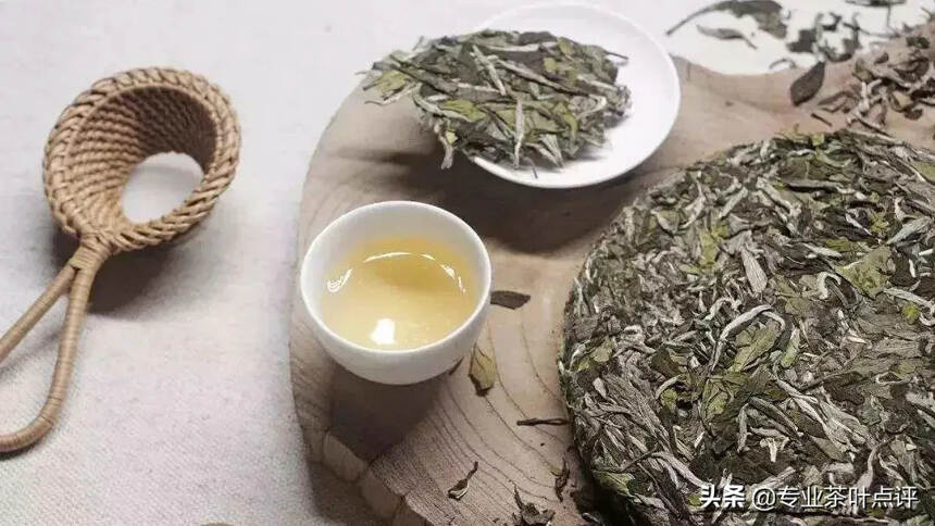 白茶为何又双叒叕涨了？