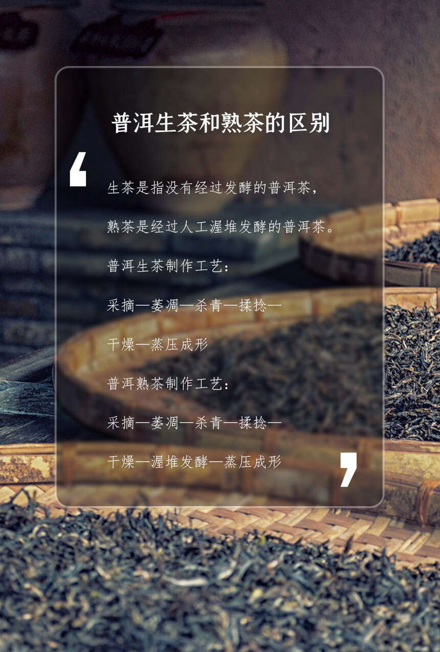 以润茶识 | 普洱茶知识大盘点