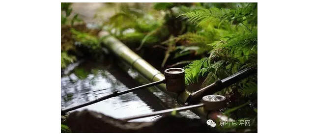 茶修|茶汤六度法，为拔六欲根