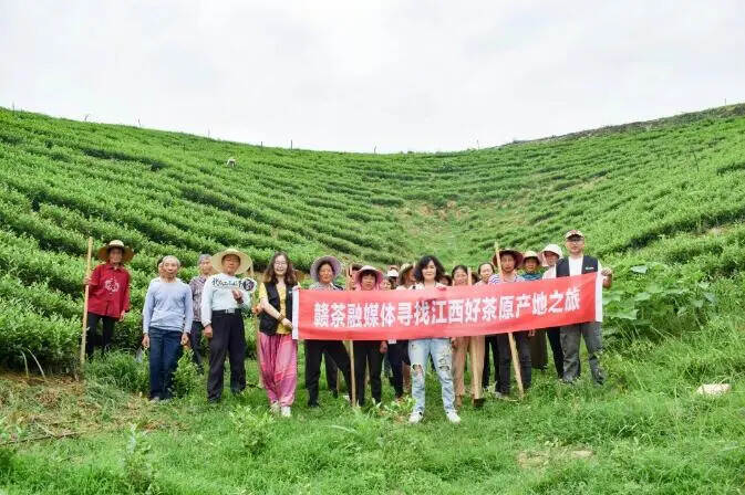 九江“神脉溪”茶获得“高岭中国村·瓷茶文化节”茶叶评比特等奖