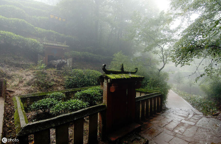 八大产茶圣地的产物，爱茶的你喝过几个？