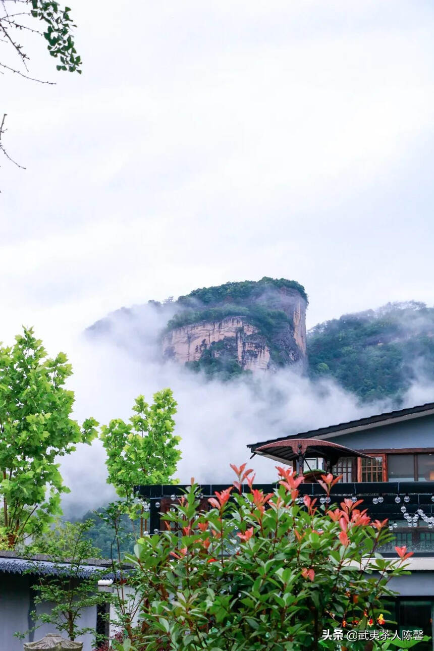 雨后的武夷山，是你我对夏日最美好的记忆之一了吧