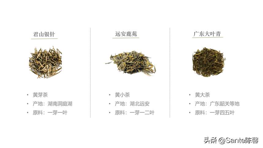 评茶篇————25，六大茶类 之 黄茶篇