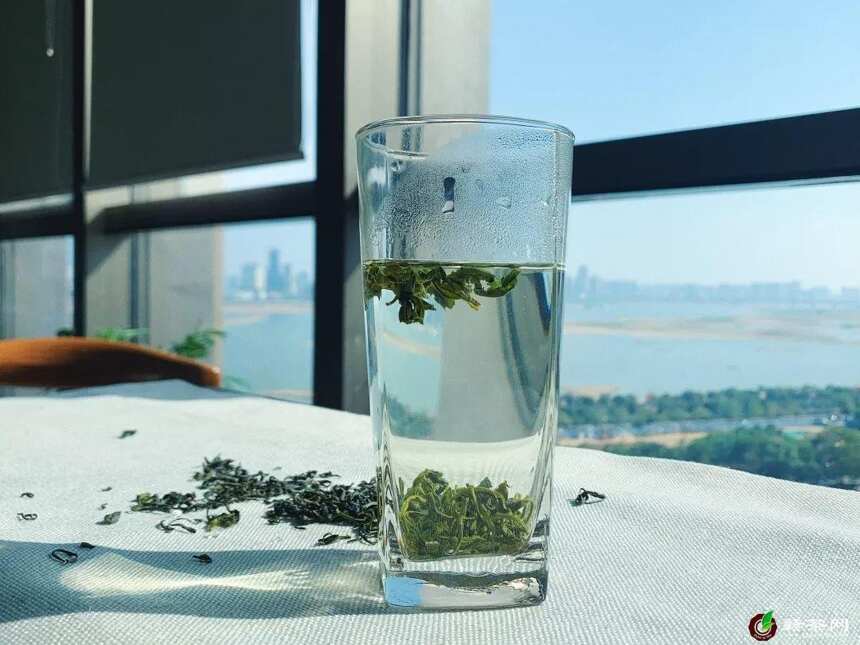 石城风景好 赣韵茶飘香