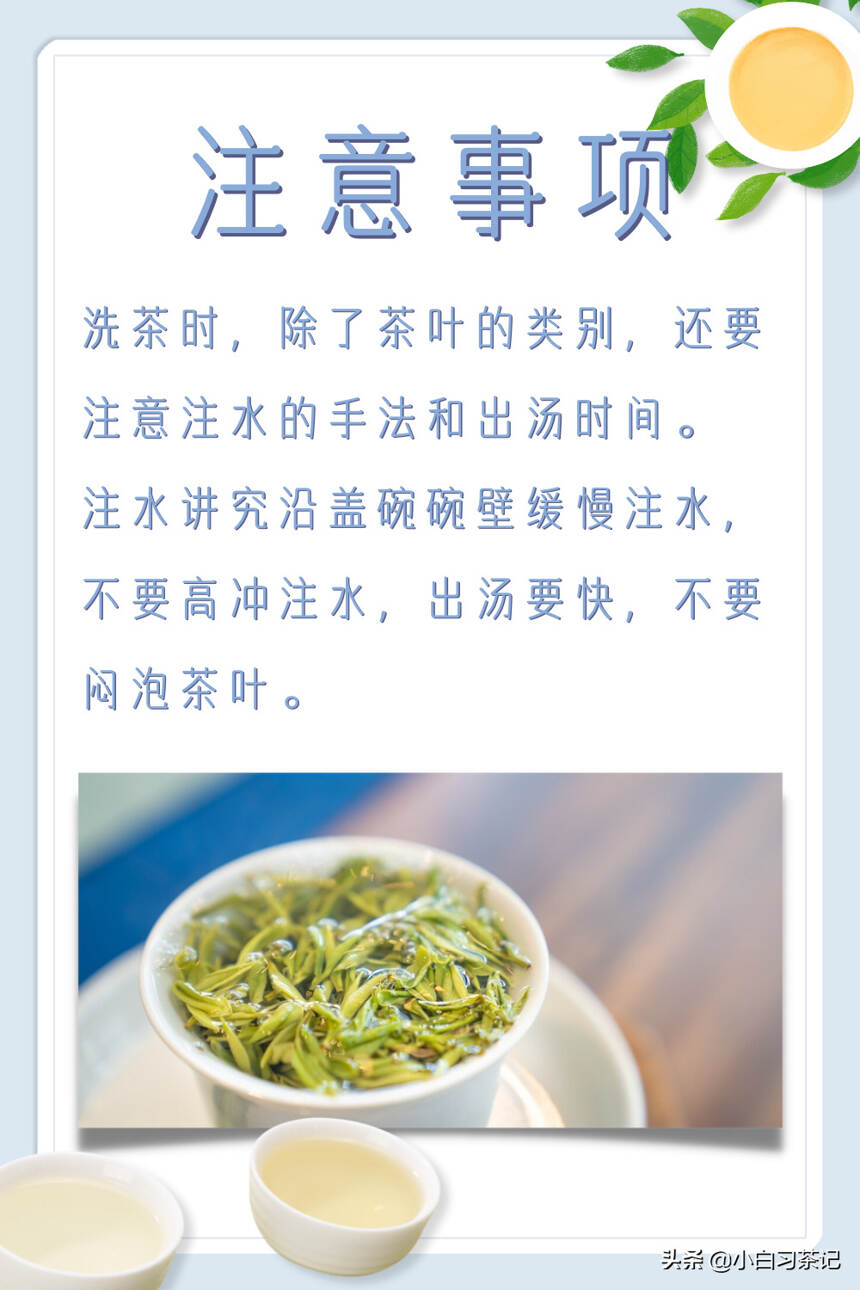 六大茶类，有哪些茶需要洗茶？