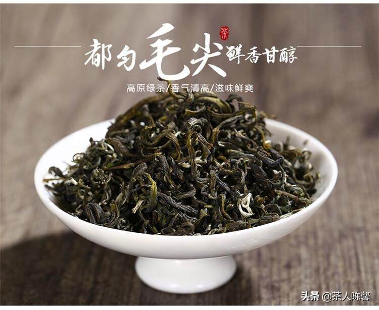 产茶大省贵州茶代表——你不知道的都匀毛尖