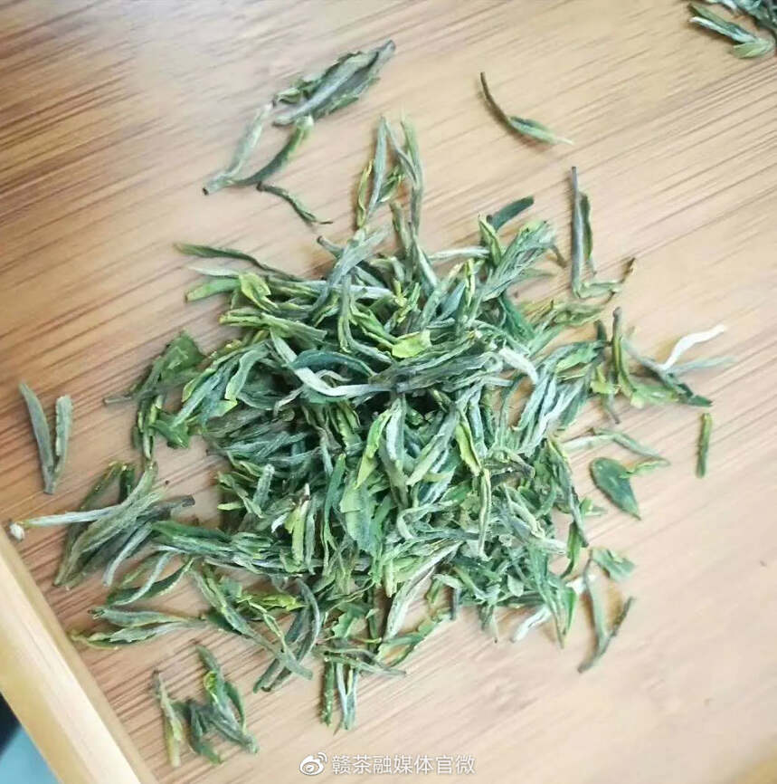 春茶季 | 春日至 百花香 春茶开采好时节（三）