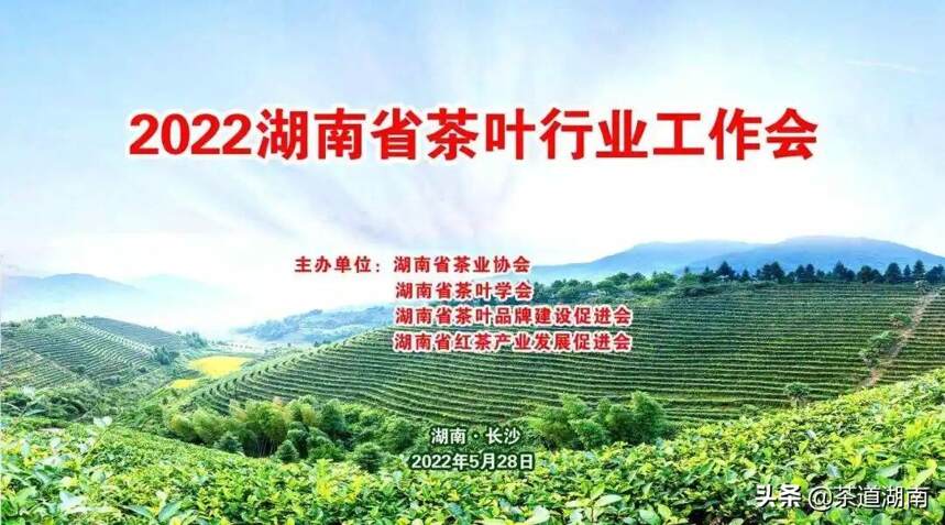 2022湖南省茶叶行业工作会议今日隆重举行