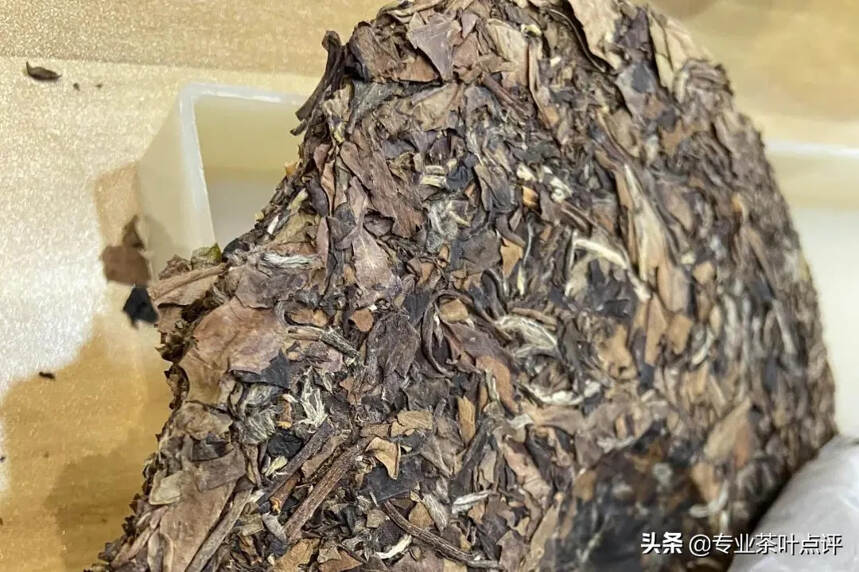 【2020福鼎寻茶】评茶笔记之一