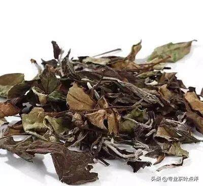 白茶凭什么压饼？