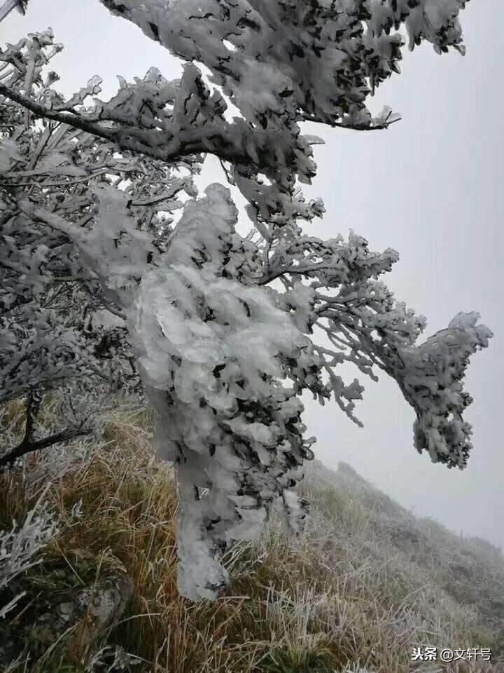 2019年元旦，上江乡白凿山雪景！